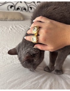MAREA WATCH ANILLO 2